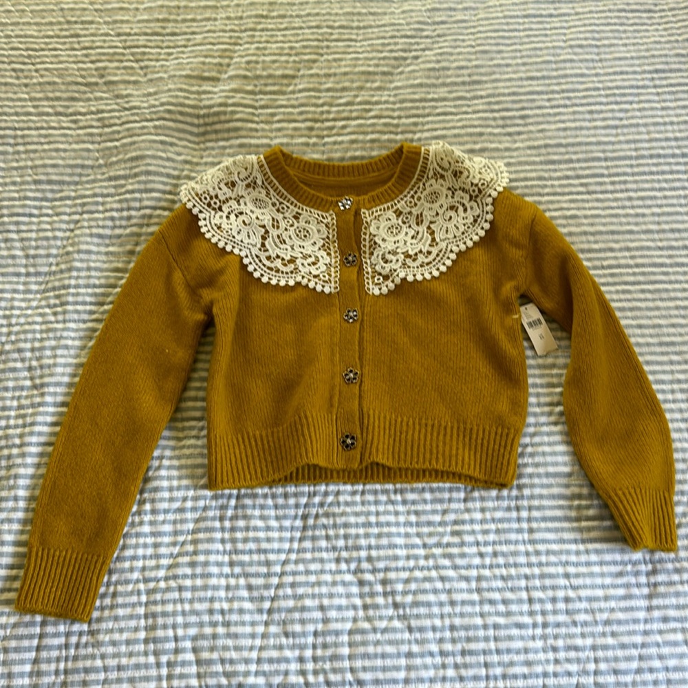 Anthropologie sweater with lace collar.